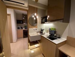 Mount Elizabeth Link (D9), Condominium #497013741